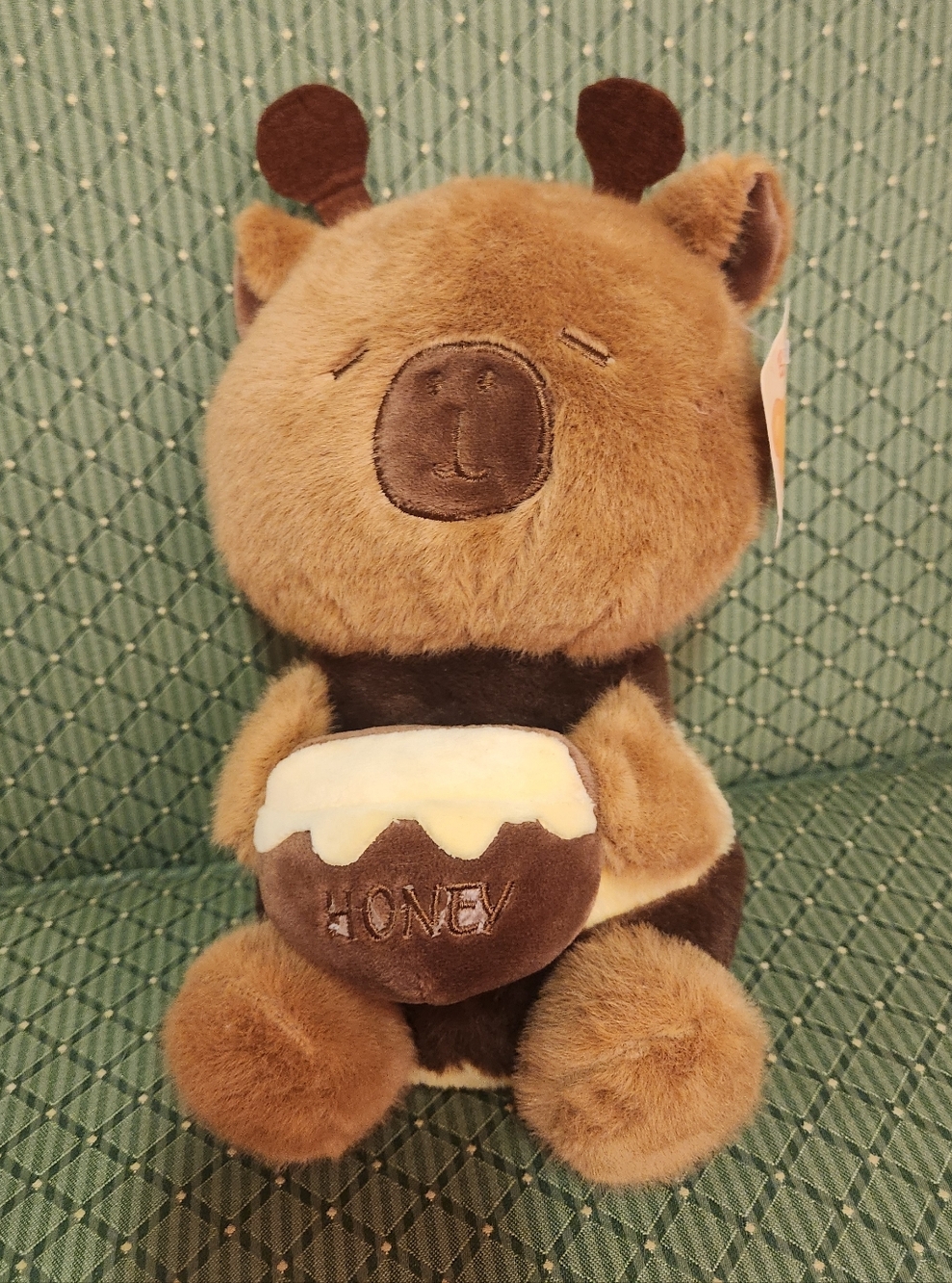 NWT Brown Capybara Plush Holding Honey Pot